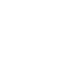Dairy / Eggs